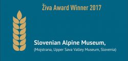 Ziva Award Winner - 02_1024_577
